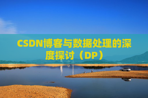 CSDN博客与数据处理的深度探讨（DP）
